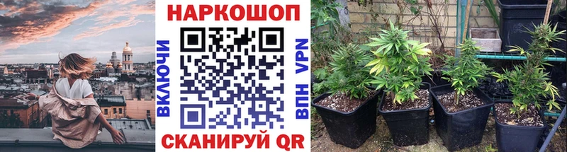 Что такое Новый Уренгой ГАШИШ  A-PVP  Меф  Псилоцибиновые грибы  Кокаин  Канабис 