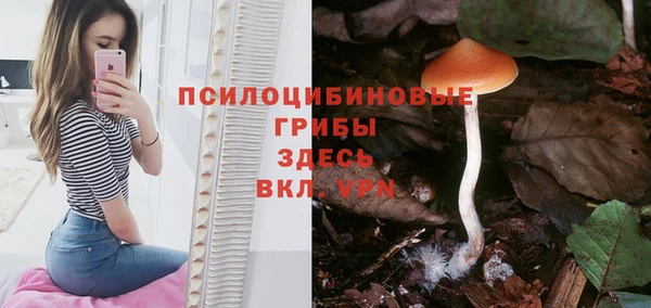 трава Арсеньев