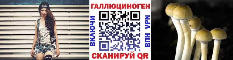 Псилоцибиновые грибы Cubensis  мега сайт  Новый Уренгой 